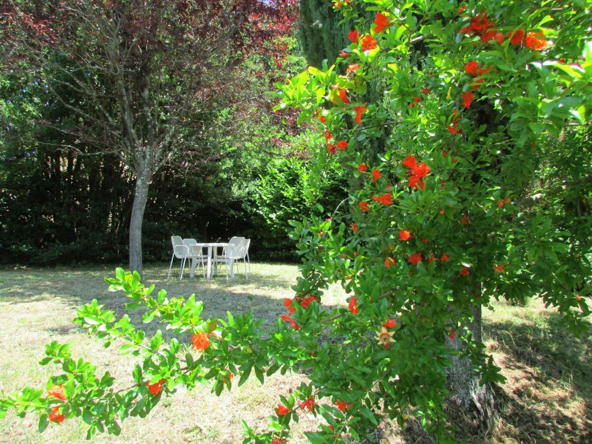 Agriturismo Dea Valfabbrica Eksteriør bilde